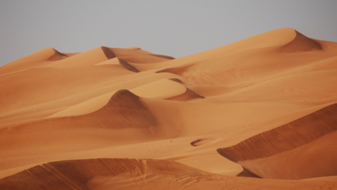 Desert IL Theme Image